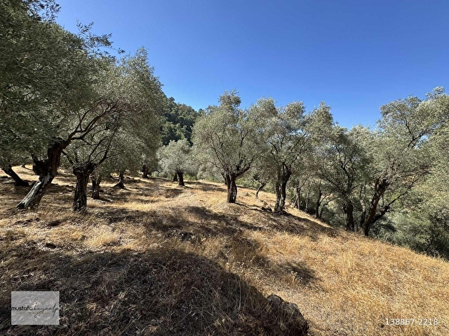 Milas Göldere Satılık