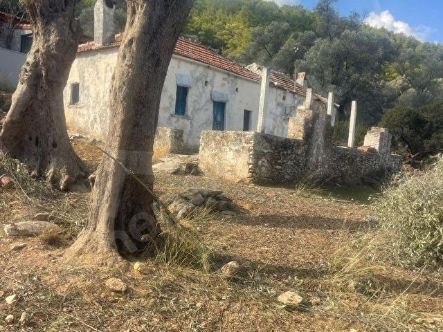 Bodrum Kızılağaç içinde kargir ev ve avlusu mevcut 786 m2 arsa - Görsel 3