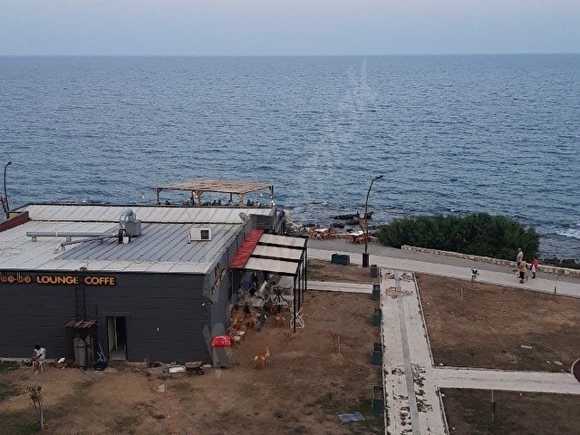 Mersin susanoğlu