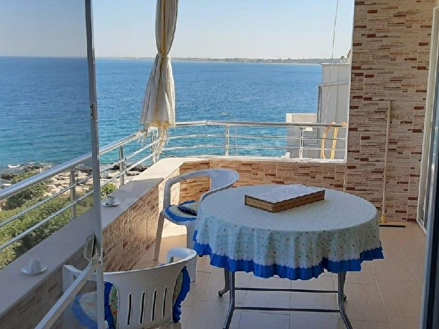 Mersin susanoğlu - Görsel 2