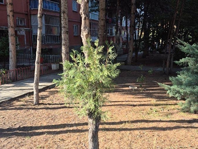 KİRALIK DAİRE BURAK EMLAK`TAN - Görsel 5