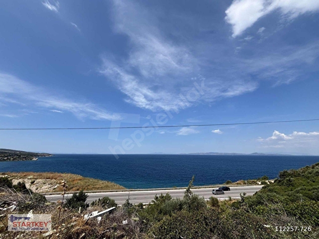 İnecikte Deniz Manzaralı Satılık Zeytinlik - Görsel 13
