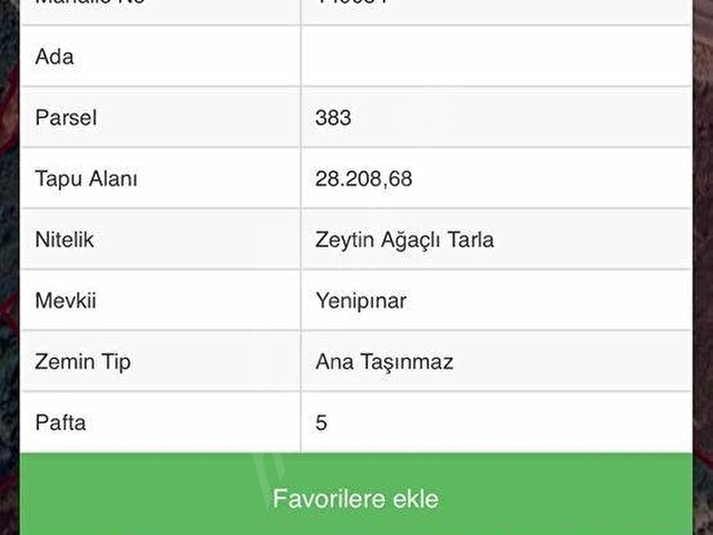 İnecikte Deniz Manzaralı Satılık Zeytinlik - Görsel 3