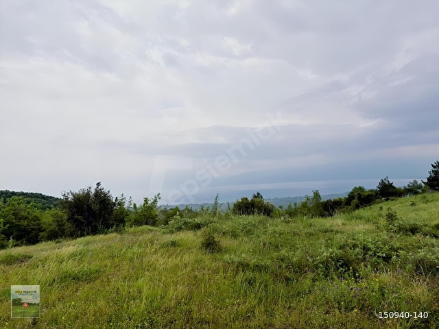 YENİKÖYE YAKIN 11535 M2 ÇOK GÜZEL KONUMDA TARLA - Görsel 4