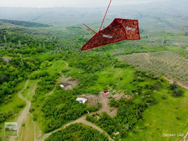 YENİKÖYE YAKIN 11535 M2 ÇOK GÜZEL KONUMDA TARLA - Görsel 2