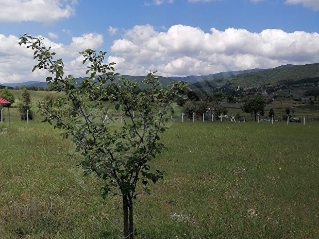 Resmi yolu olup etrafı çevrili tarlamiz satılıktır - Görsel 4