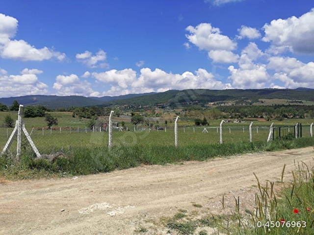 Resmi yolu olup etrafı çevrili tarlamiz satılıktır - Görsel 7