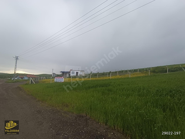 PURSAKLAR KÖSRELİK KIZIĞINDA HİSSE TAPULU BAHÇE - Görsel 2