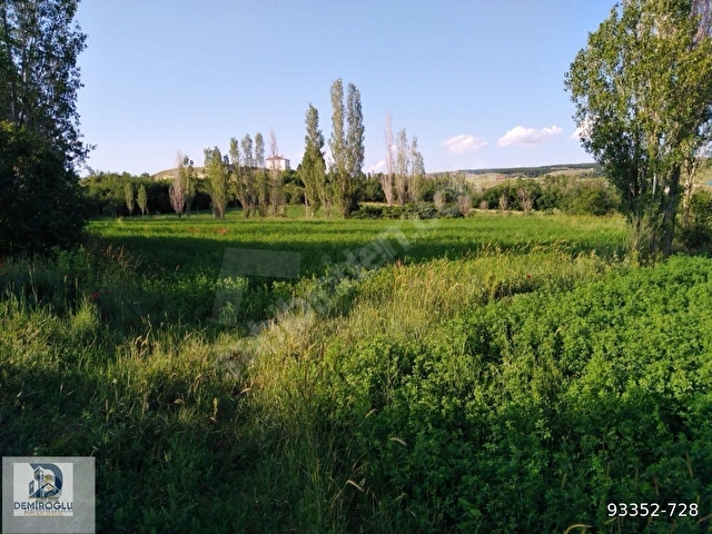 İMAR SINIRINDA YOLU MEVCUT 3160 M2 DEĞERLİ ARAZİ!!