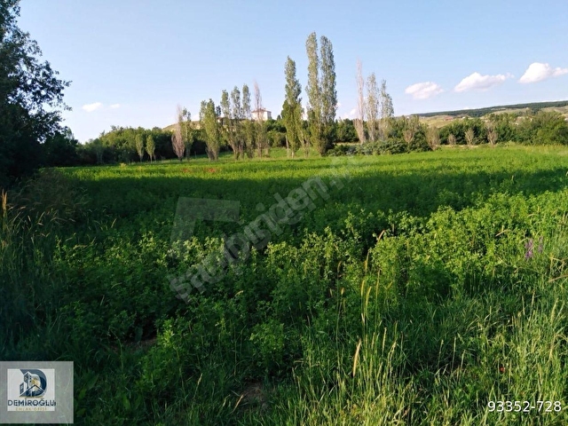 İMAR SINIRINDA YOLU MEVCUT 3160 M2 DEĞERLİ ARAZİ!! - Görsel 13