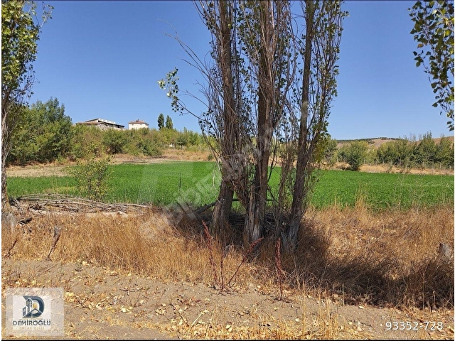 İMAR SINIRINDA YOLU MEVCUT 3160 M2 DEĞERLİ ARAZİ!! - Görsel 7