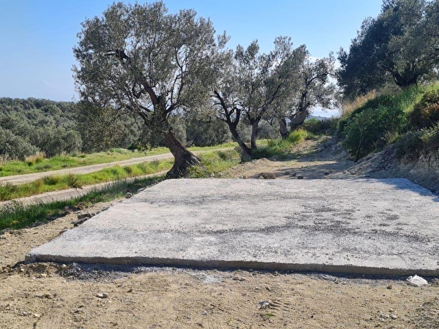 AYVALIK KONAK EMLAKTAN ALTINOVA DA SATILIK 2.600 M2 ZEYTİNLİK - Görsel 3