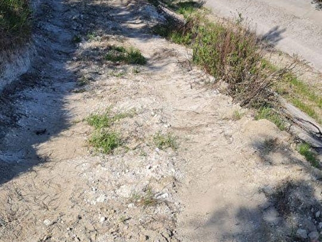 AYVALIK KONAK EMLAKTAN ALTINOVA DA SATILIK 2.600 M2 ZEYTİNLİK - Görsel 7