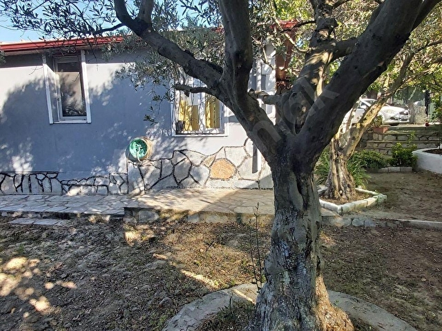 Ağaçlıda Havuzlu, Tek Katlı, Eşyalı, Müstakil Ev - Görsel 4