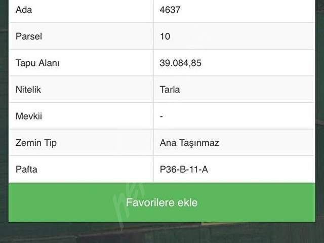 MARAŞBOGAZINDA SATILIK 40 DÖNÜM ÇAP - Görsel 3