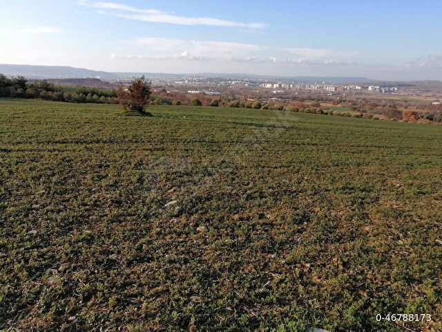 ÇANAKKALE SARICAELİ KÖYÜ SATILIK KOOPERATİF HİSSESİ - NET 500 m2 - Görsel 4