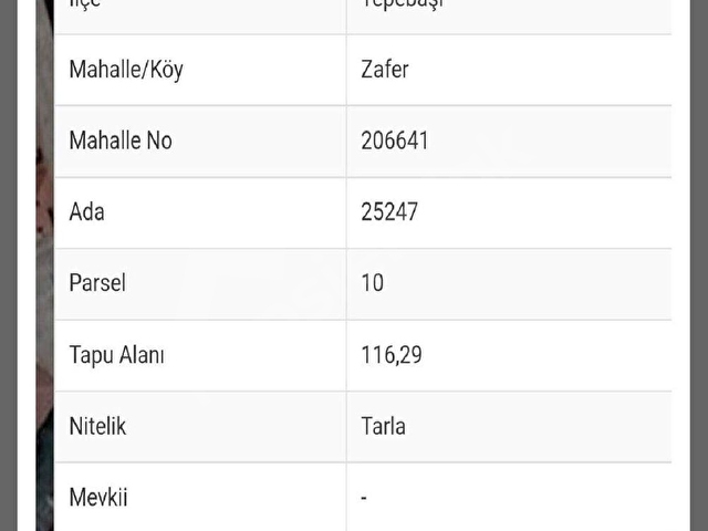 STAR EMLAKTAN ZAFER MAHALLESİNDE SATILIK ARSA - Görsel 3