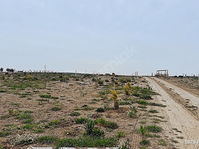 ▇ALPHA▇ÇEŞMELİDE 20,000TL ELDEN TAKSİTLE 250m²KAÇMAZ FIRSAT !! - Görsel 16