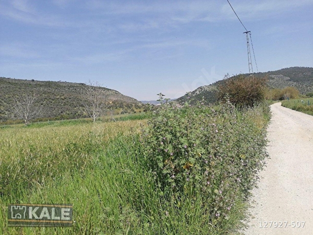 MUĞLA MİLASTA   27 5  DÖNÜM.SATILIK TARLA - Görsel 6