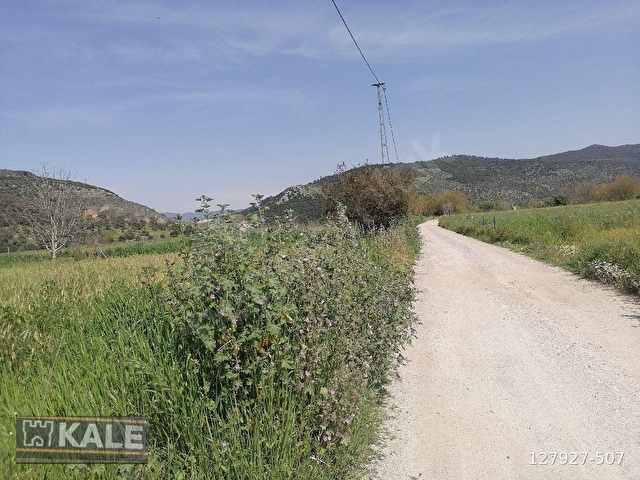 MUĞLA MİLASTA   27 5  DÖNÜM.SATILIK TARLA - Görsel 7