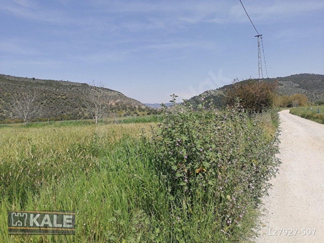 MUĞLA MİLASTA   27 5  DÖNÜM.SATILIK TARLA - Görsel 8