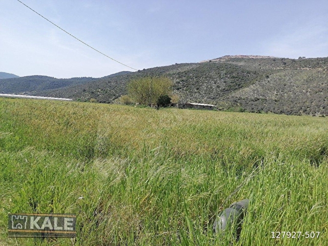 MUĞLA MİLASTA   27 5  DÖNÜM.SATILIK TARLA - Görsel 15