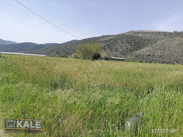 MUĞLA MİLASTA   27 5  DÖNÜM.SATILIK TARLA - Görsel 16