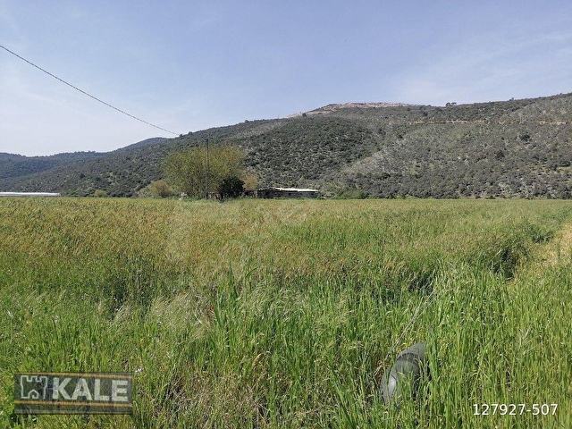 MUĞLA MİLASTA   27 5  DÖNÜM.SATILIK TARLA - Görsel 18