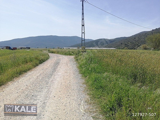 MUĞLA MİLASTA   27 5  DÖNÜM.SATILIK TARLA - Görsel 19