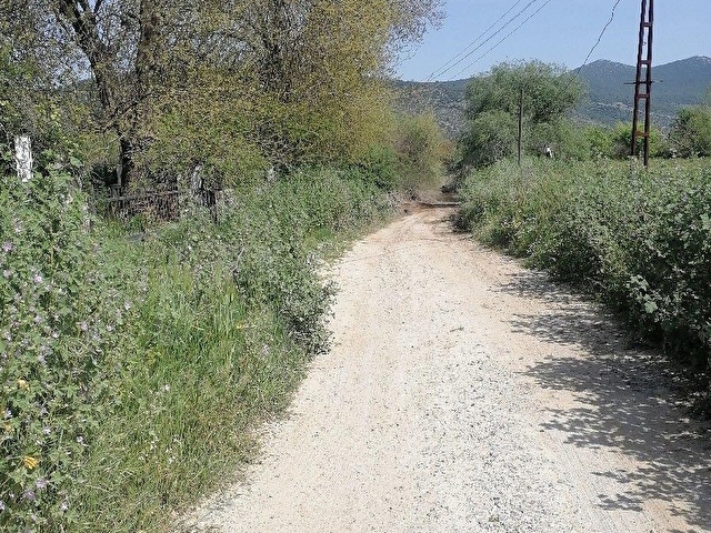 MUĞLA MİLASTA   27 5  DÖNÜM.SATILIK TARLA - Görsel 25