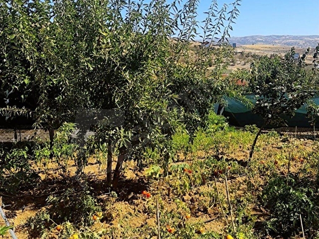 SATILIK ANKARA AKYURT YEŞİLTEPE MAHALLESİ YASLIARDIÇ MEVKİİNDE - Görsel 7