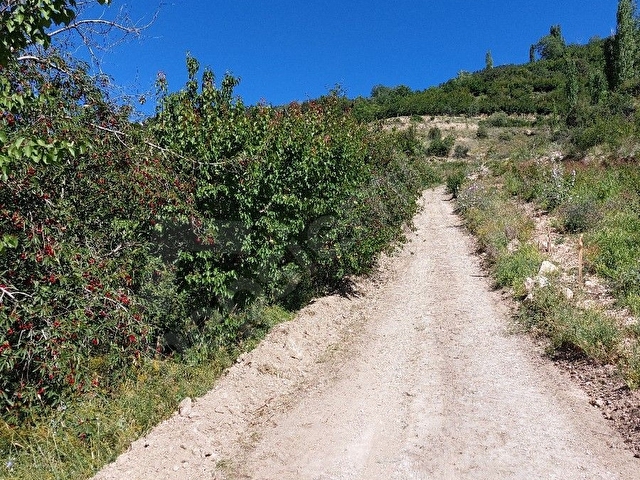 Korkuteli Sülekler kayısı bahçesi köye yakın Dere yol mevcut. - Görsel 2