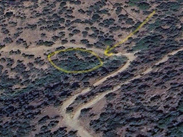 AYDIN SÖKE KAYKILLIDA YOL KENARI SATILIK HOBİ BAHÇESİ