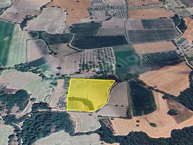 LION EMLAKTAN SAVAŞTEPE CUMHURİYET MAHDE 13.987M² ARAZİ - Görsel 21