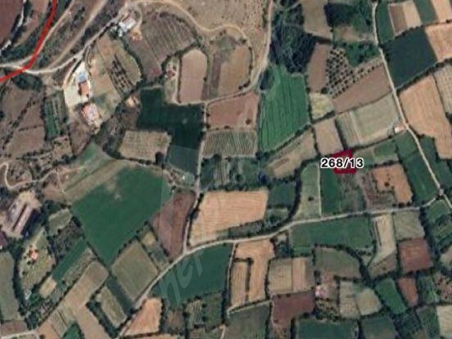 Yankıdan Pazar Erkilet Mah.de Müstakil 960m2 Satılık Bağ &Bahçe - Görsel 4