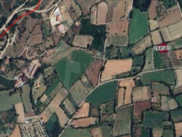 Yankıdan Pazar Erkilet Mah.de Müstakil 960m2 Satılık Bağ &Bahçe - Görsel 2