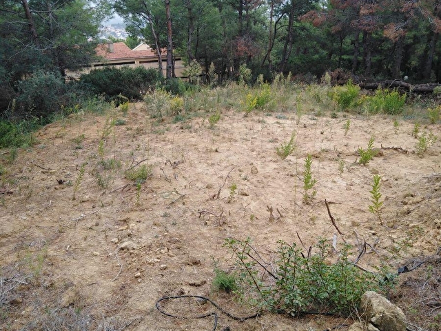 KUŞADASINDA DUBLEKS İMARLI VILLALIK ARSA
