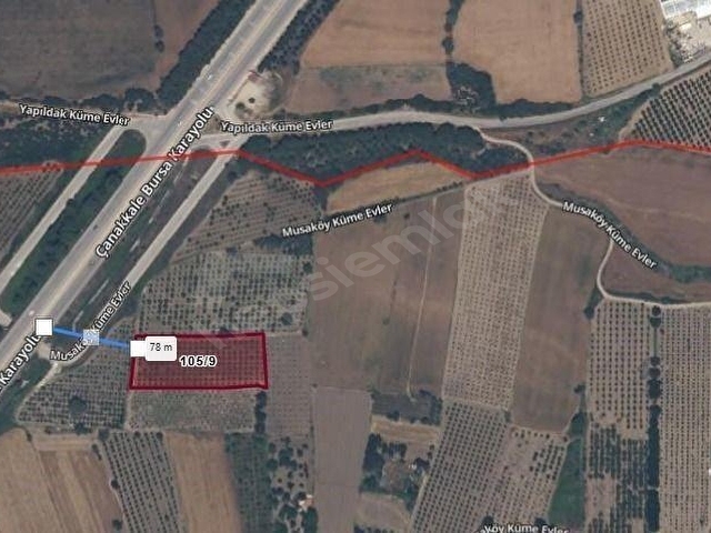 ÇANAKKALE MERKEZ MUSAKÖYDE ANAYOLA 60 M SATILIK TARLA - Görsel 10