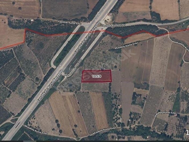 ÇANAKKALE MERKEZ MUSAKÖYDE ANAYOLA 60 M SATILIK TARLA - Görsel 9