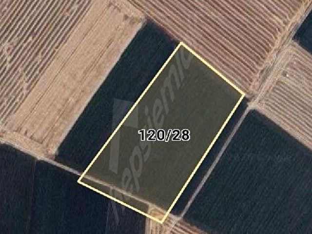 EDİRNE MERKEZ KÖŞEN KÖYÜ SATILIK 19.560 M² TARLA