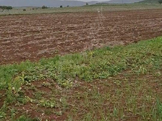 YEŞİLOVA SALDA GÖLÜ HAVZASI İÇERİSİ DEREKÖYDE 5800 - Görsel 2