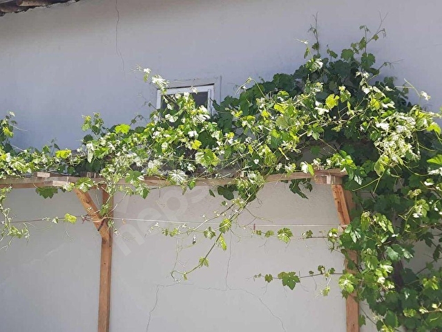 ISPARTA GÖNENDE MERKEZ KASAP MH. YENİ TADILATLI EV VE ARSASI