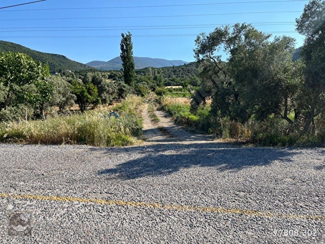 MUĞLA Yatağan Satılık Ceviz Bahcesi