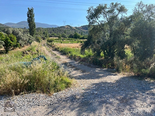 MUĞLA Yatağan Satılık Ceviz Bahcesi - Görsel 3