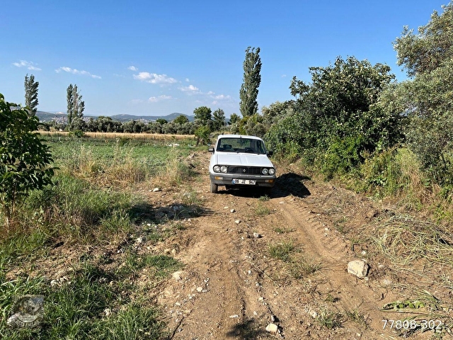 MUĞLA Yatağan Satılık Ceviz Bahcesi - Görsel 4