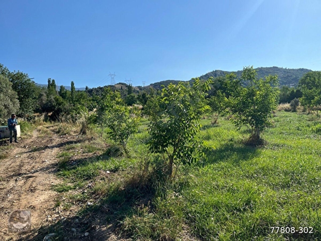 MUĞLA Yatağan Satılık Ceviz Bahcesi - Görsel 9