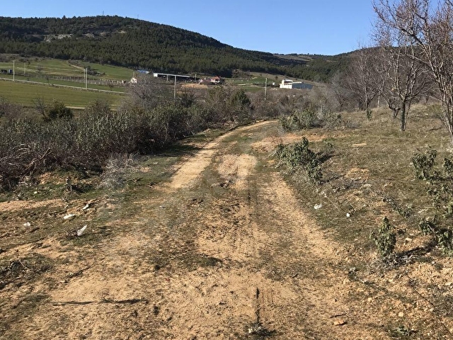 MENDE KÖYÜNDE TERTEMİZ HAVA,SU KUYUSU OLAN TARLA - Görsel 14