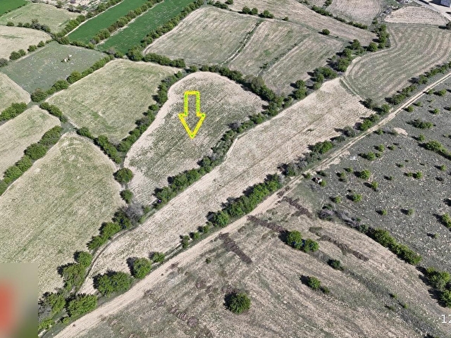 REHBER EMLAKTAN EKMEKLİ KÖYÜNDE 6028 M2 YOLU OLAN SULU TARLA - Görsel 6