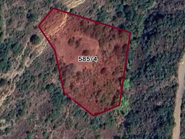 REMAX DESİGN GEYVE BURHANİYE MAHALLESİNDE 5144 M2 SATILIK TARLA - Görsel 10