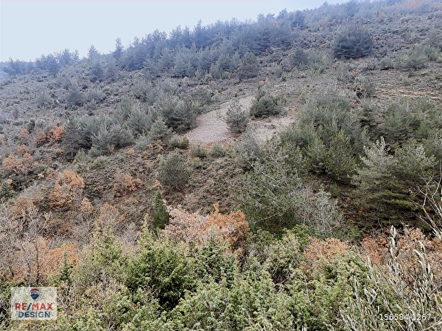 REMAX DESİGN GEYVE BURHANİYE MAHALLESİNDE 5144 M2 SATILIK TARLA - Görsel 8